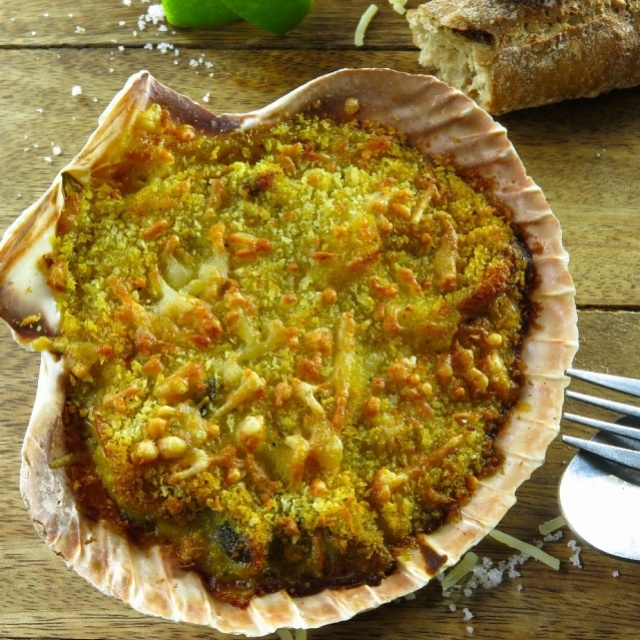 Gegratineerde coquille met ragout van mosselen