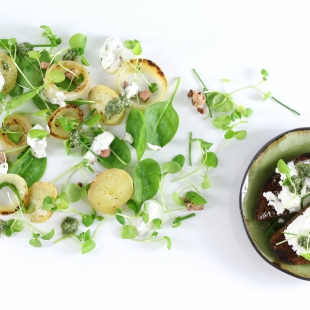 Salade de pommes de terre fumées au pesto à l’ail des ours