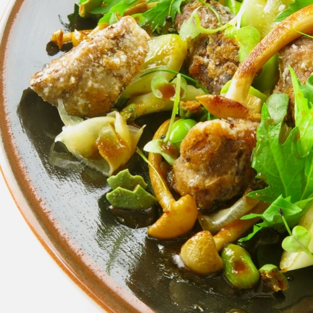 Salade de légumes au poulet frit à la japonaise