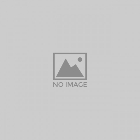 Bresc Pesto verde 1000g